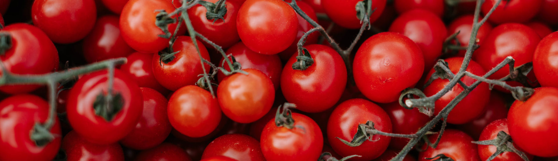 British vine tomatoes